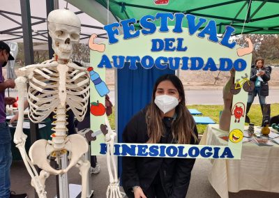 Festival 3