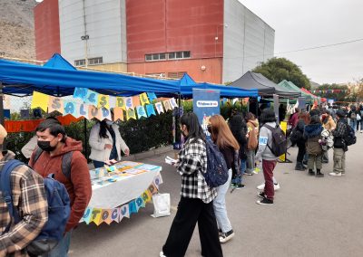 Festival 8